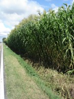 /album/quaresrl/dsc00346-jpg/