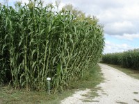 /album/quaresrl/dsc00325-jpg/