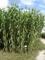 /album/quaresrl/dsc00329-jpg/